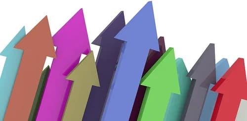 Success Stories 1