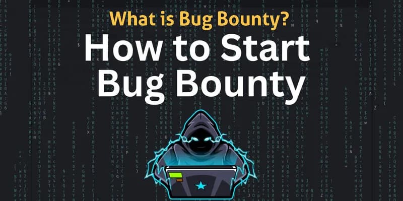 What is Bug Bounty and How to Earn Money?