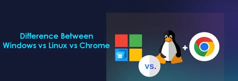 What Is the Difference between Windows, Linux, and Chrome OS