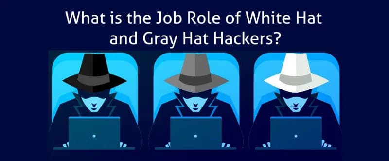 What is the Job Role of White Hat and Gray Hat Hackers?